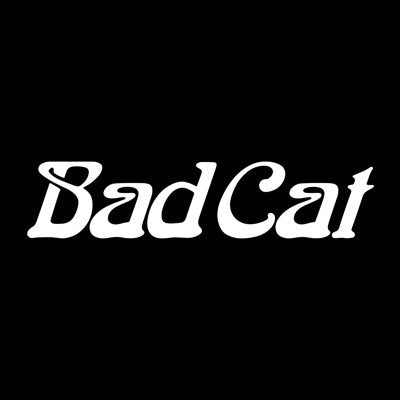 Bad Cat